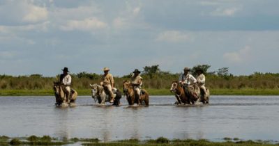 La vorágine en Brasil y la Amazonía