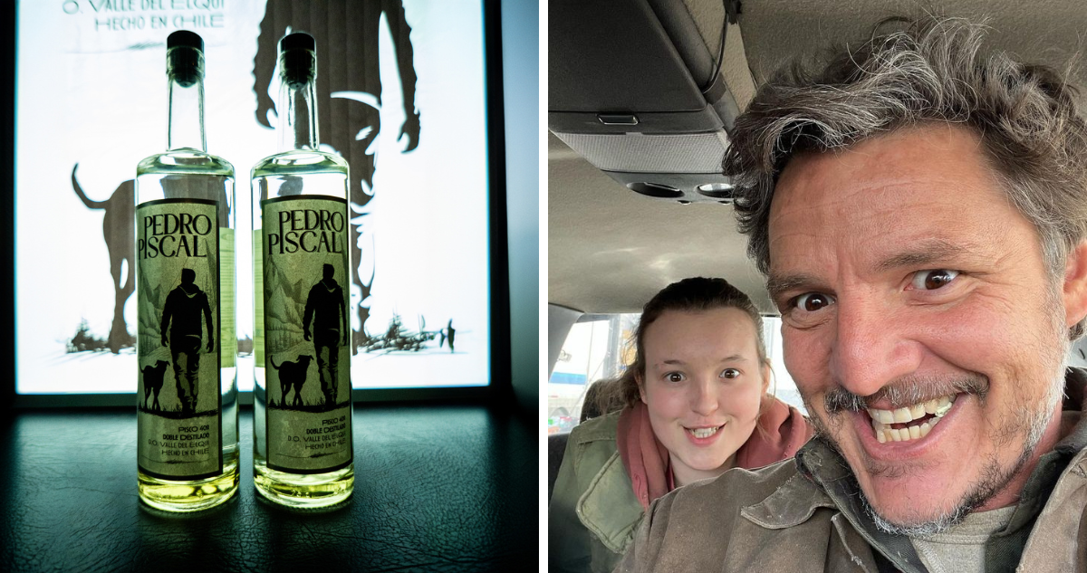 Pedro Piscal, pisco artesanal chileno inspirado en Pedro Pascal y ejemplo de marcas inspiradas en películas
