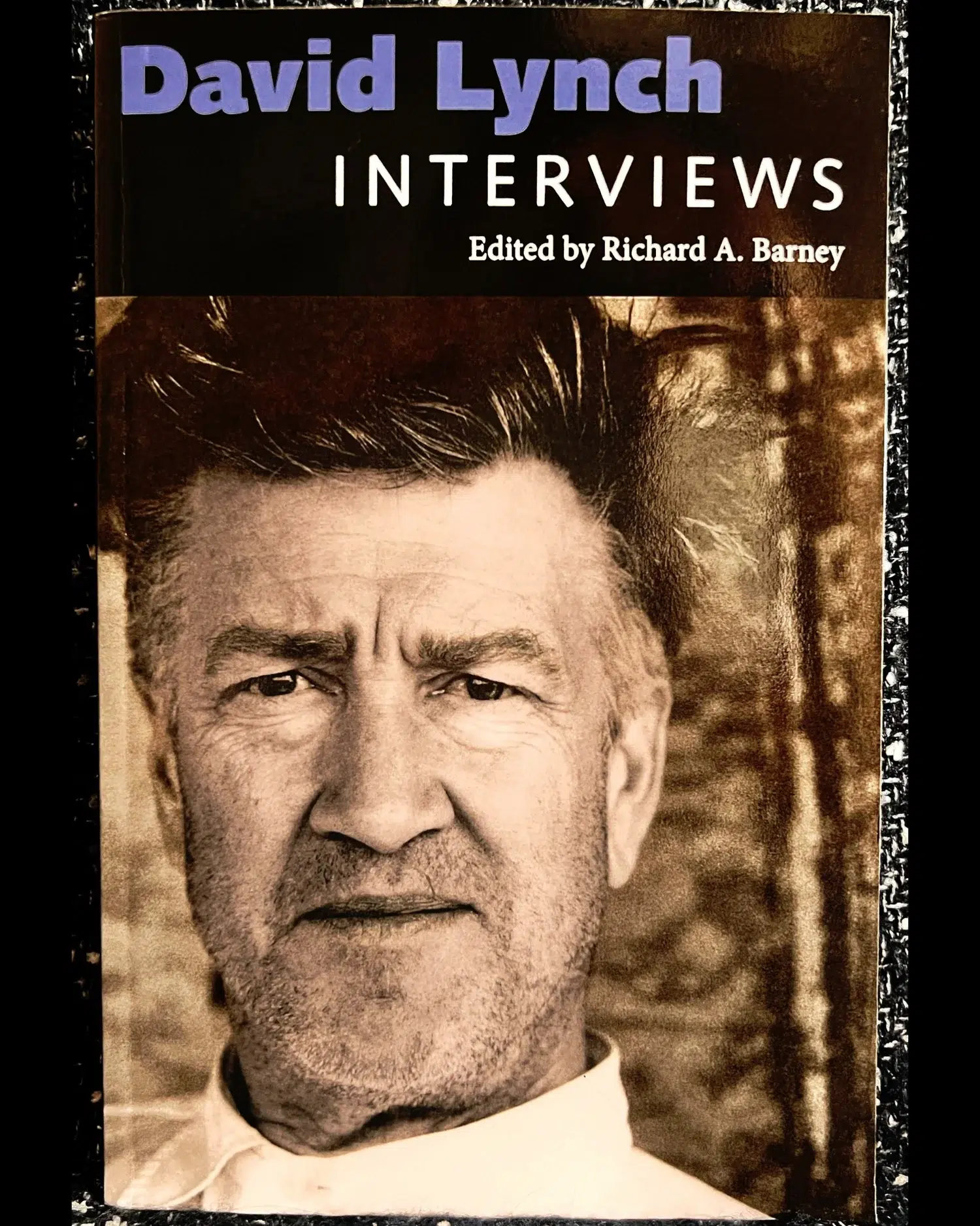 David Lynch: Interviews (2009)